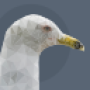 gull_-_vdt_64.png